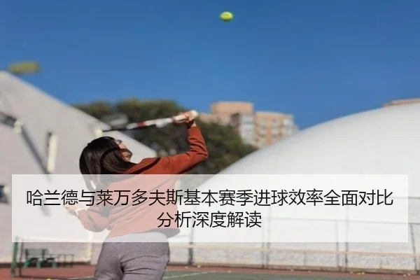 哈兰德与莱万多夫斯基本赛季进球效率全面对比分析深度解读